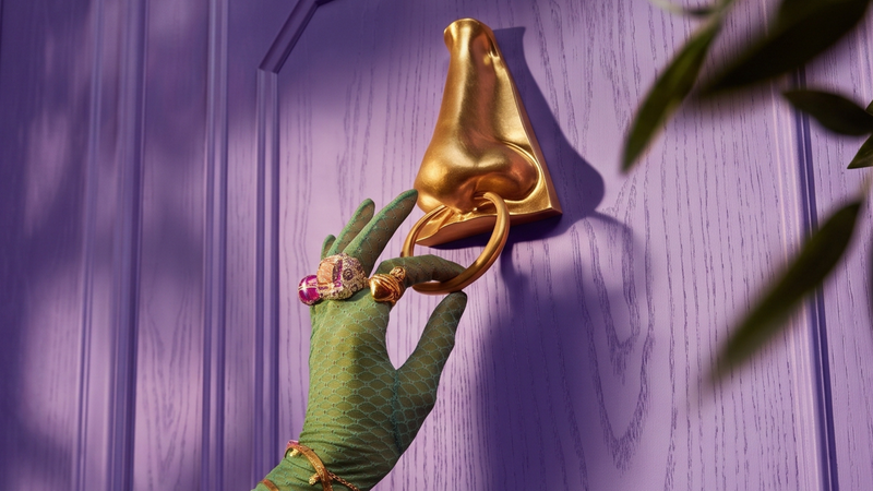 A hand in a green glove grips a golden door knocker shaped like a nose on a purple door.
