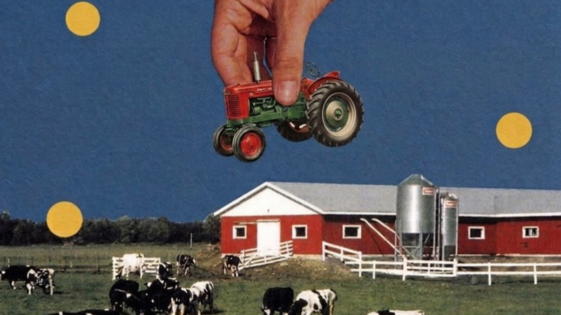 A hand holds a model of a red tractor above a collage of a red farm and a herd of cows